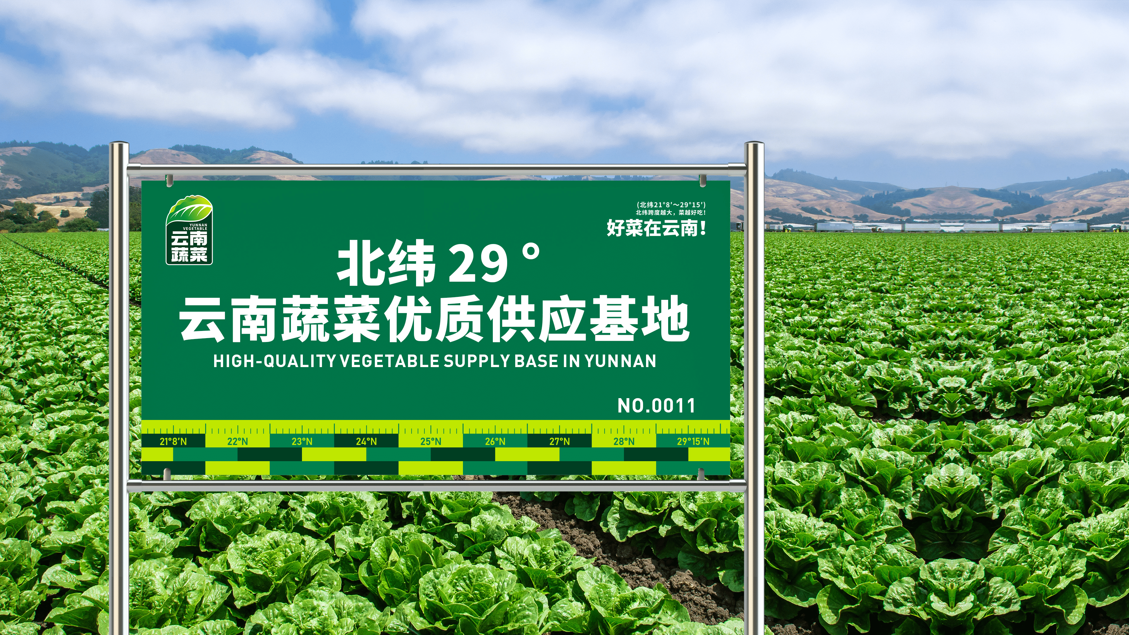 蔬菜区域公用品牌打造
