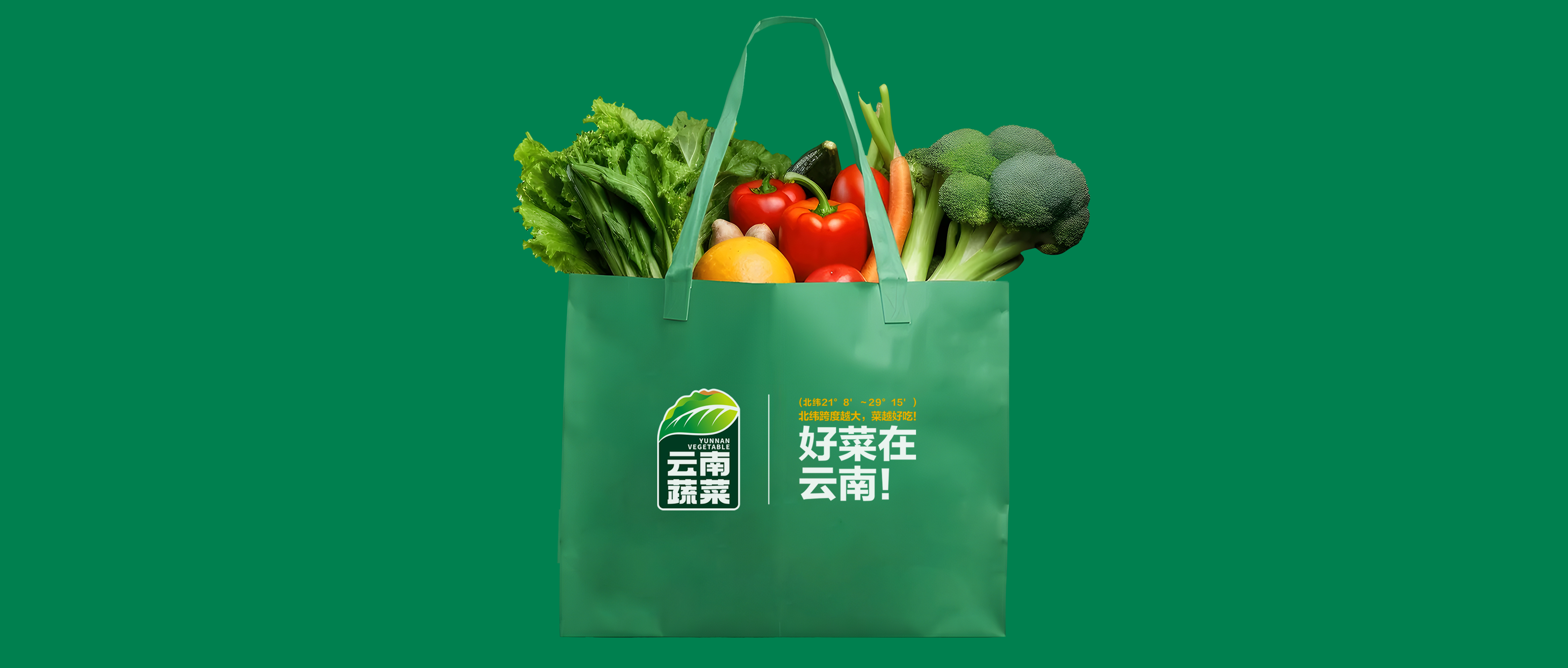 好菜在云南——云南蔬菜区域公用品牌设计、策划纪实